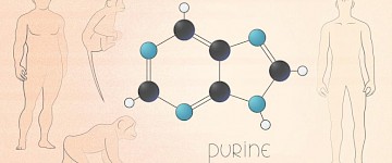 科学家发现了一种新的基因突变，将现代人类与尼安德特人区分开来