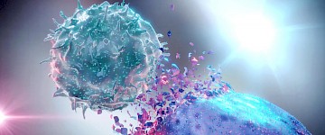 工程自然杀伤细胞可以清除胶质母细胞瘤癌症干细胞